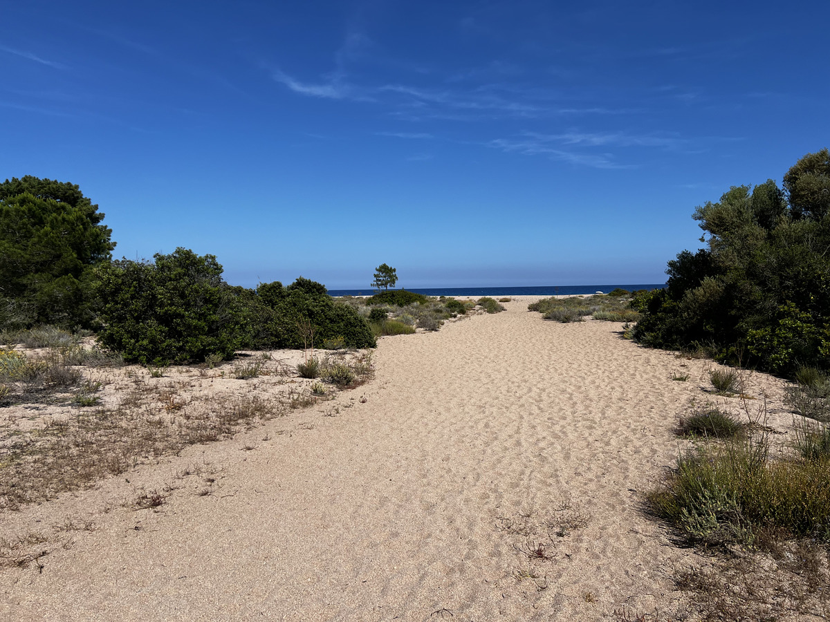 Picture France Corsica Ovu Santu Beach⁩ 2024-05 11 - Weather Ovu Santu Beach⁩