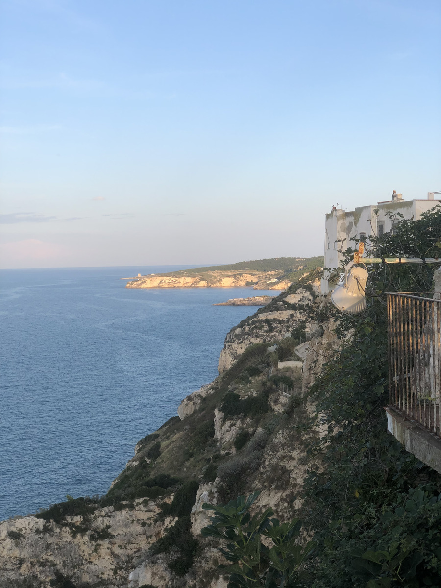 Picture Italy Peschici 2024-09 49 - Rentals Peschici