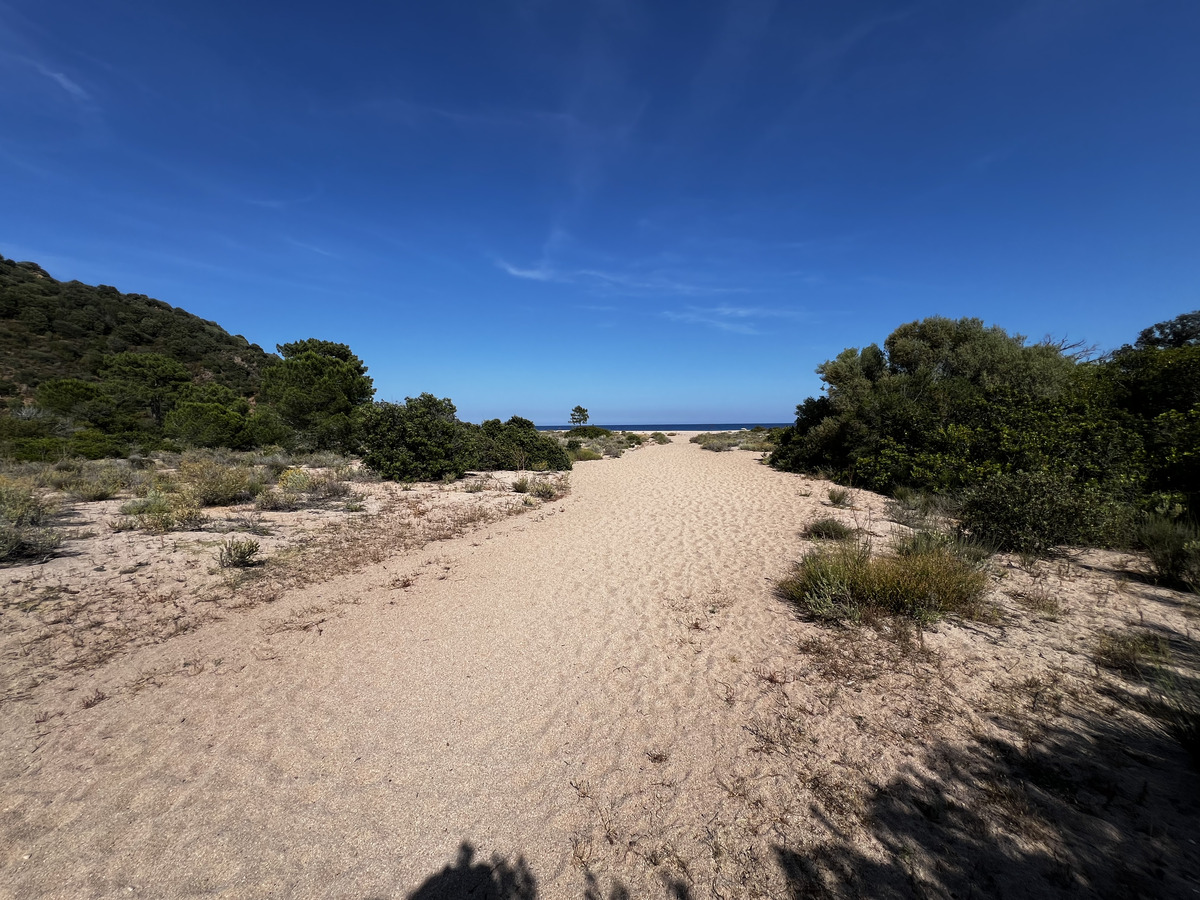 Picture France Corsica Ovu Santu Beach⁩ 2024-05 12 - Hotel Pool Ovu Santu Beach⁩