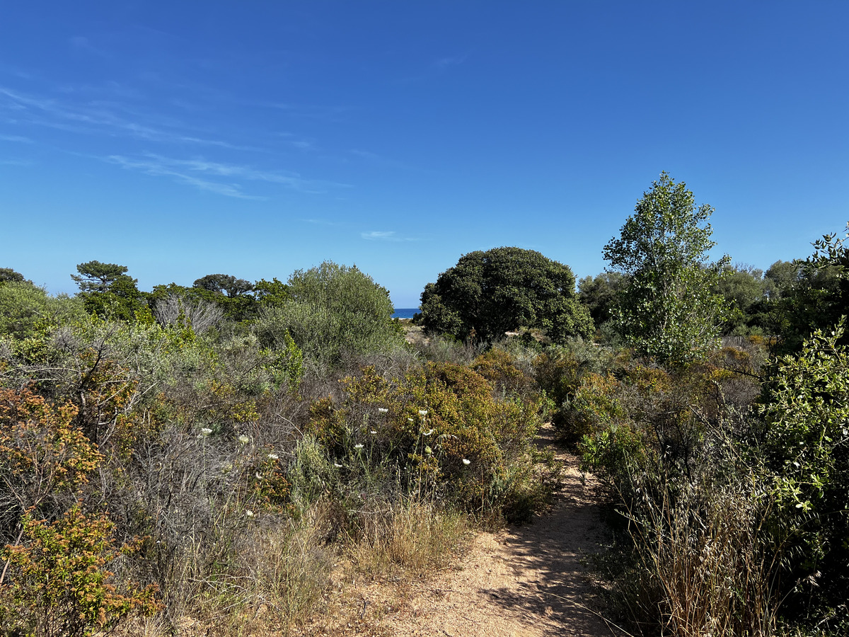 Picture France Corsica Ovu Santu Beach⁩ 2024-05 7 - Street Ovu Santu Beach⁩