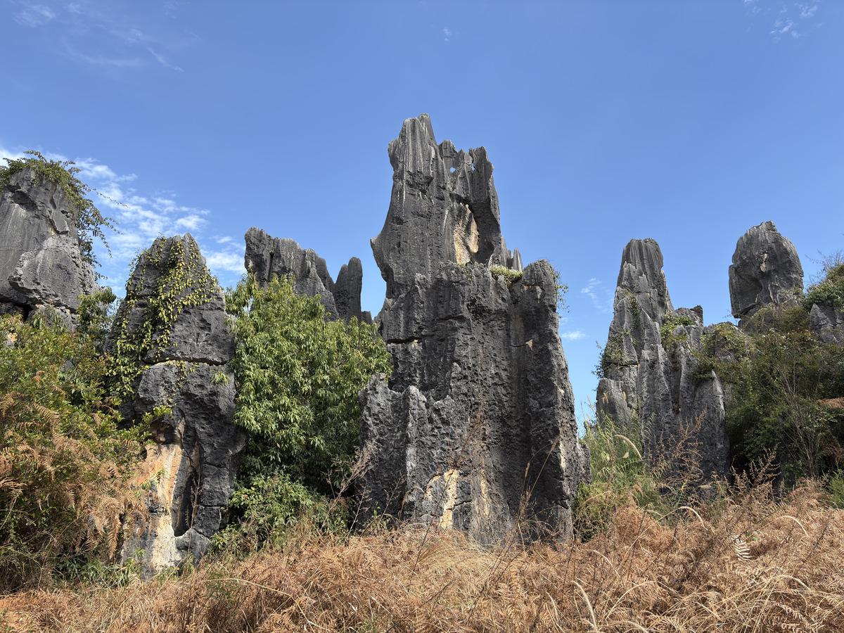 Picture China Shilin Stone Forest 2026-01 381 - Sunrise Shilin Stone Forest