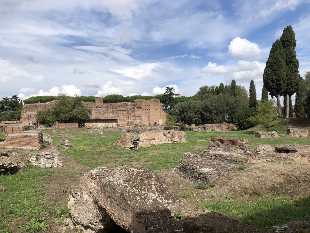 Picture Italy Rome Roman Forum 2024-09 180 - Saving Roman Forum