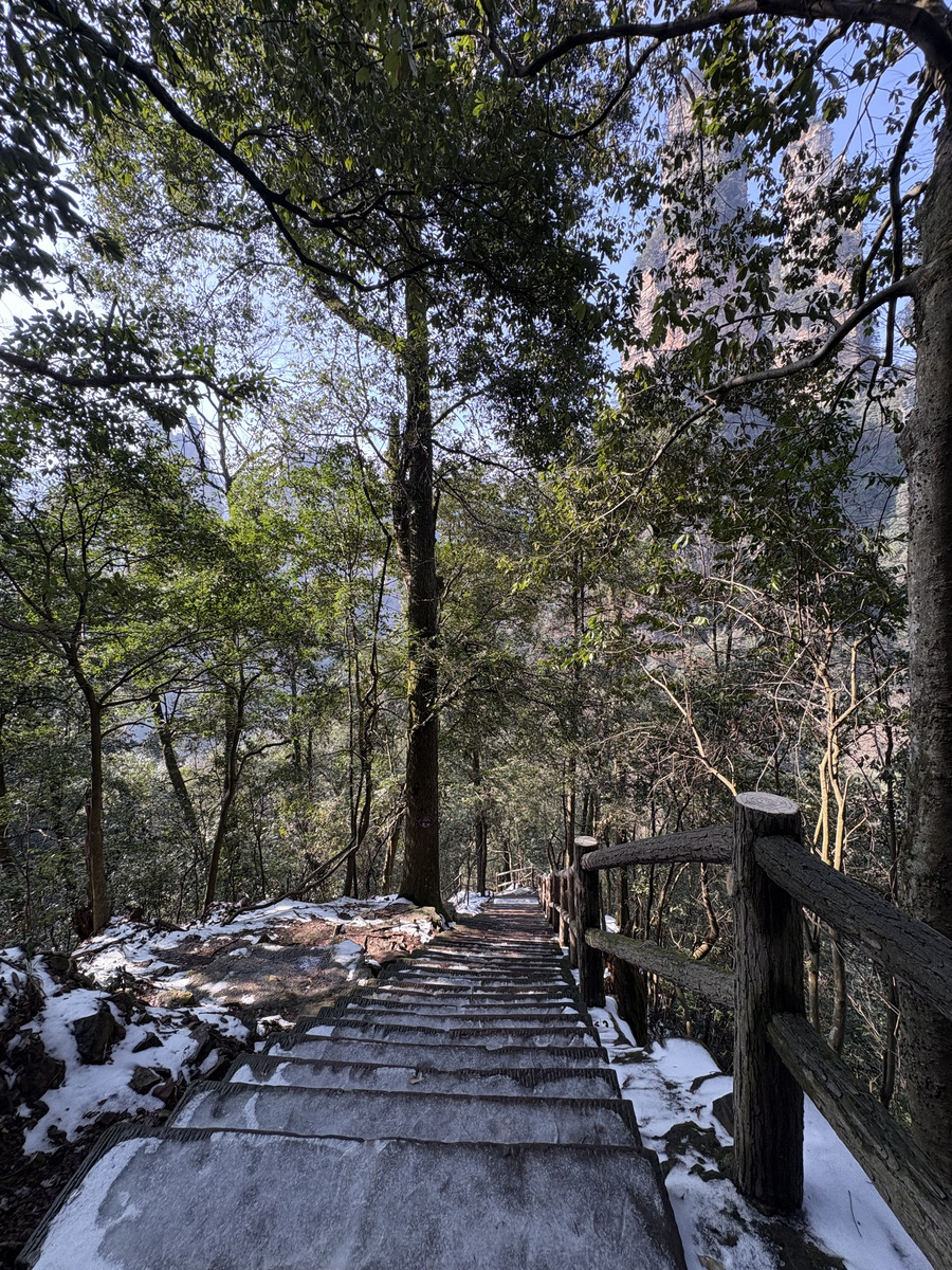 Picture China Zhangjiajie Tianzi Mountrain 2026-01 432 - Lake Tianzi Mountrain