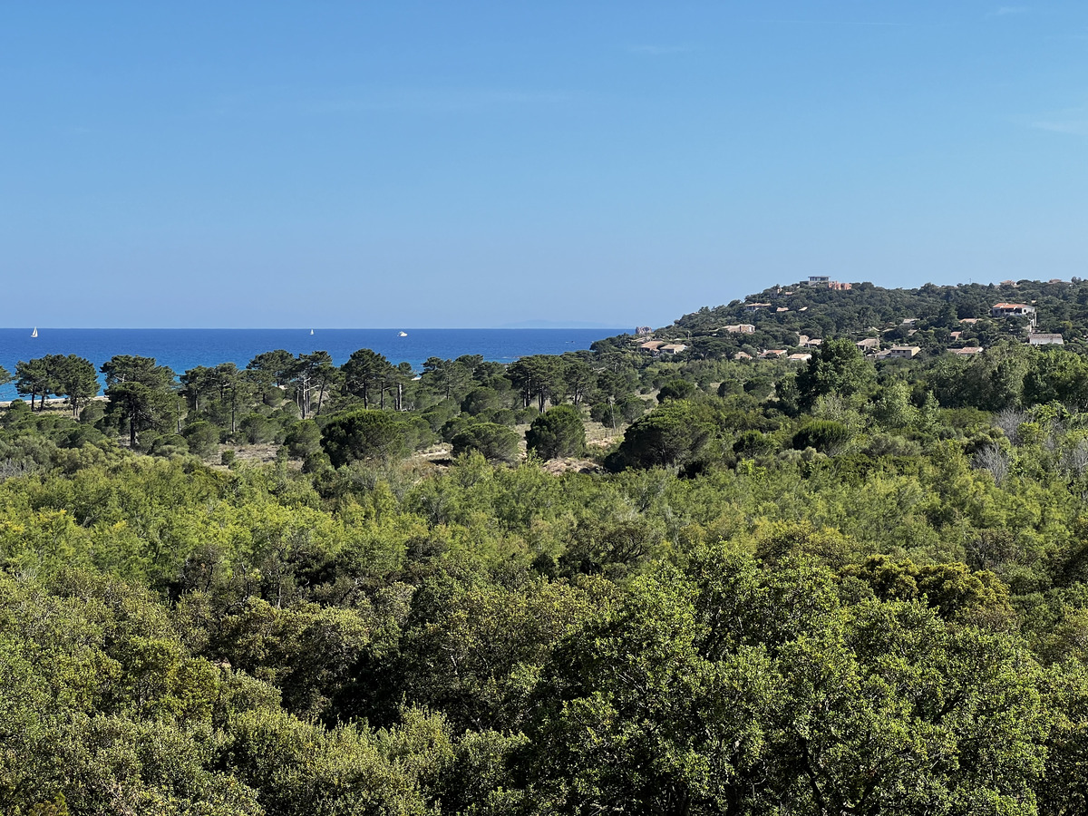 Picture France Corsica Ovu Santu Beach⁩ 2024-05 2 - Hot Season Ovu Santu Beach⁩