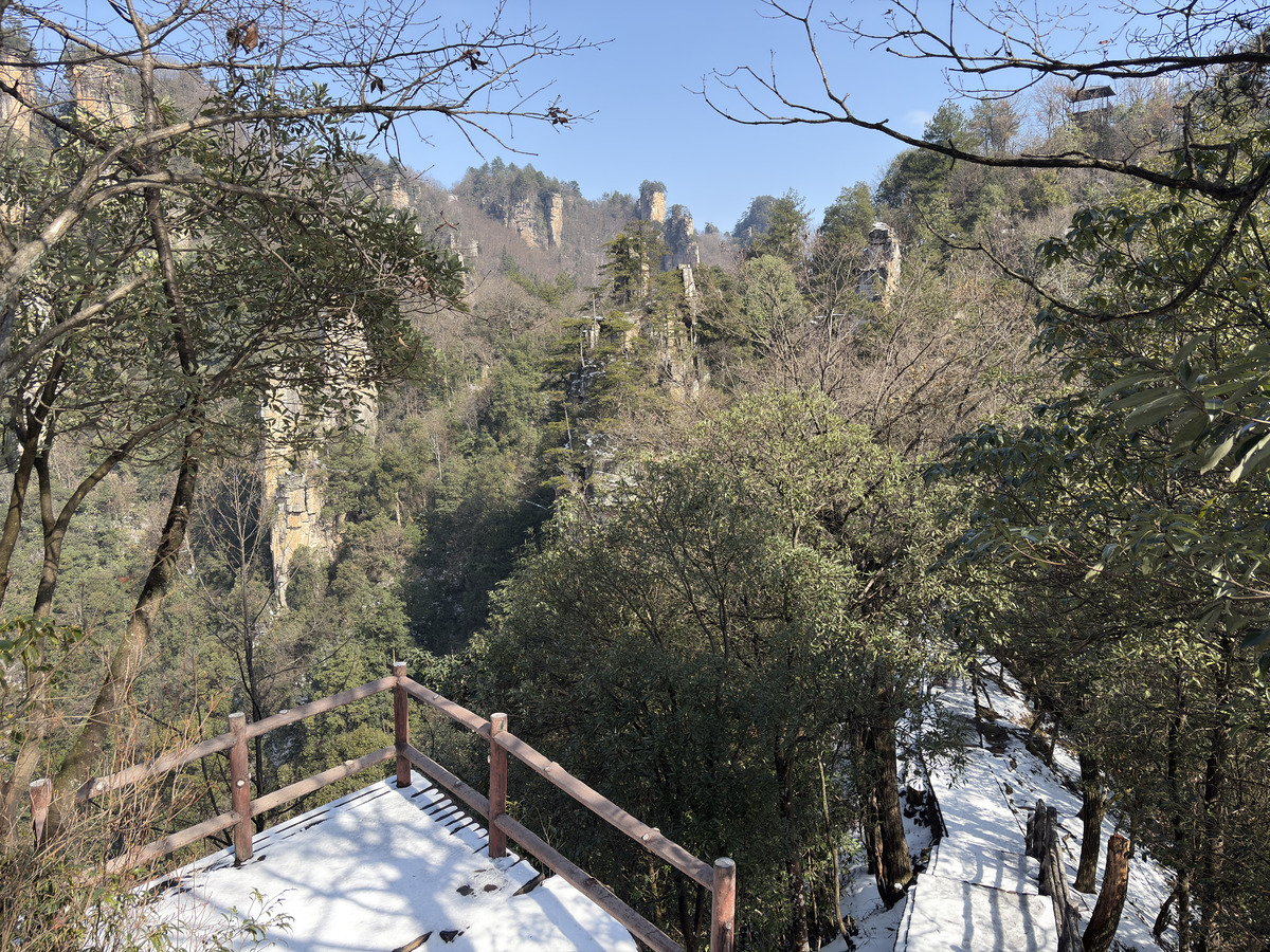 Picture China Zhangjiajie Tianzi Mountrain 2026-01 229 - Savings Tianzi Mountrain