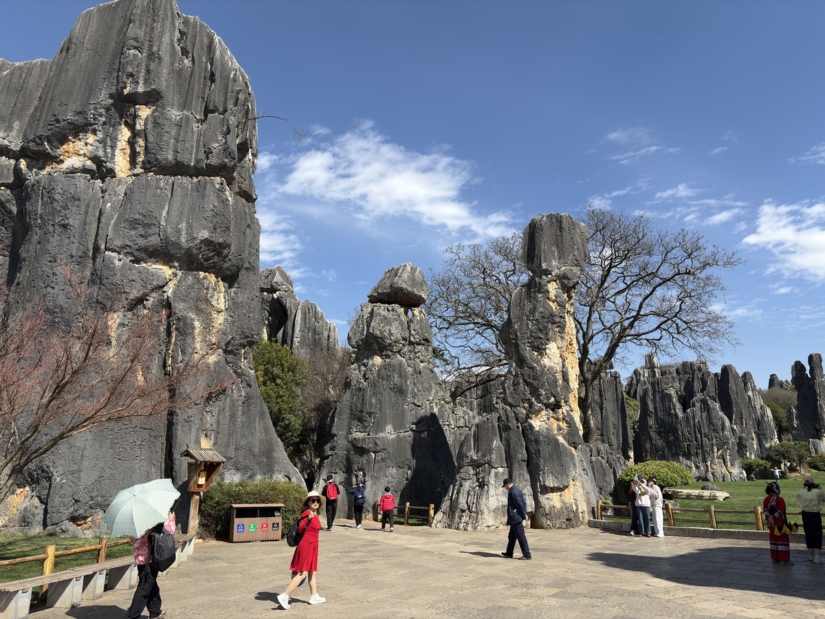 Picture China Shilin Stone Forest 2026-01 389 - Sunrise Shilin Stone Forest