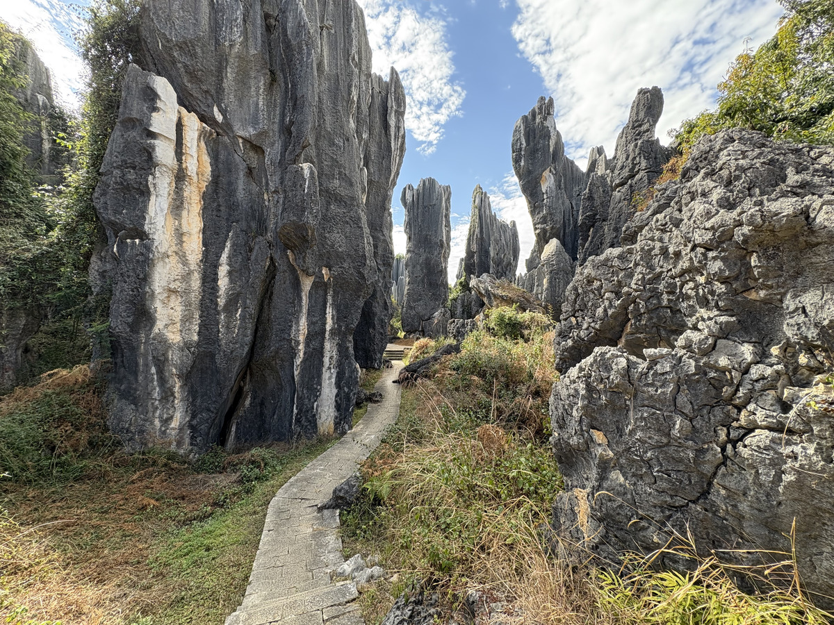Picture China Shilin Stone Forest 2026-01 9 - Hotel Pools Shilin Stone Forest