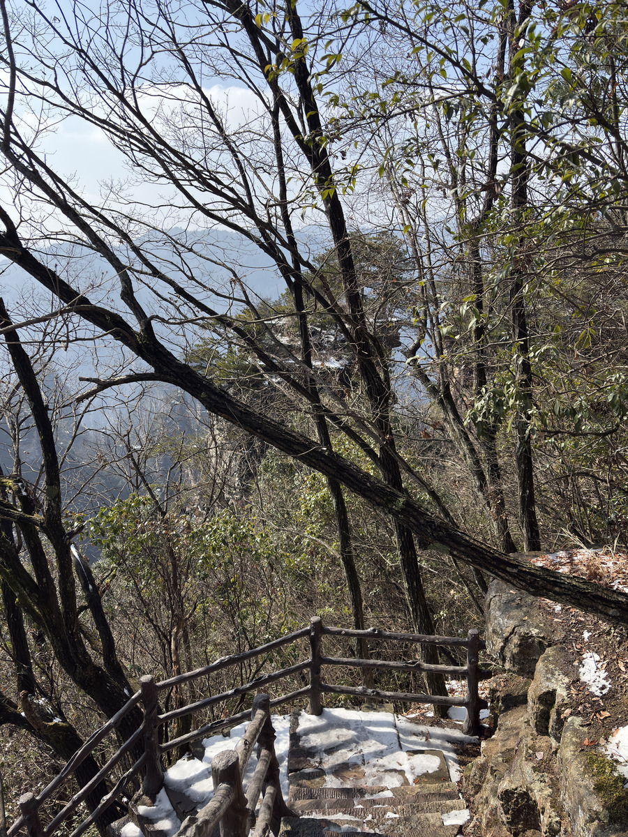 Picture China Zhangjiajie Tianzi Mountrain 2026-01 189 - Summer Tianzi Mountrain