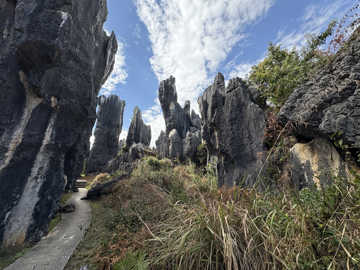 Picture China Shilin Stone Forest 2026-01 162 - Rental Shilin Stone Forest