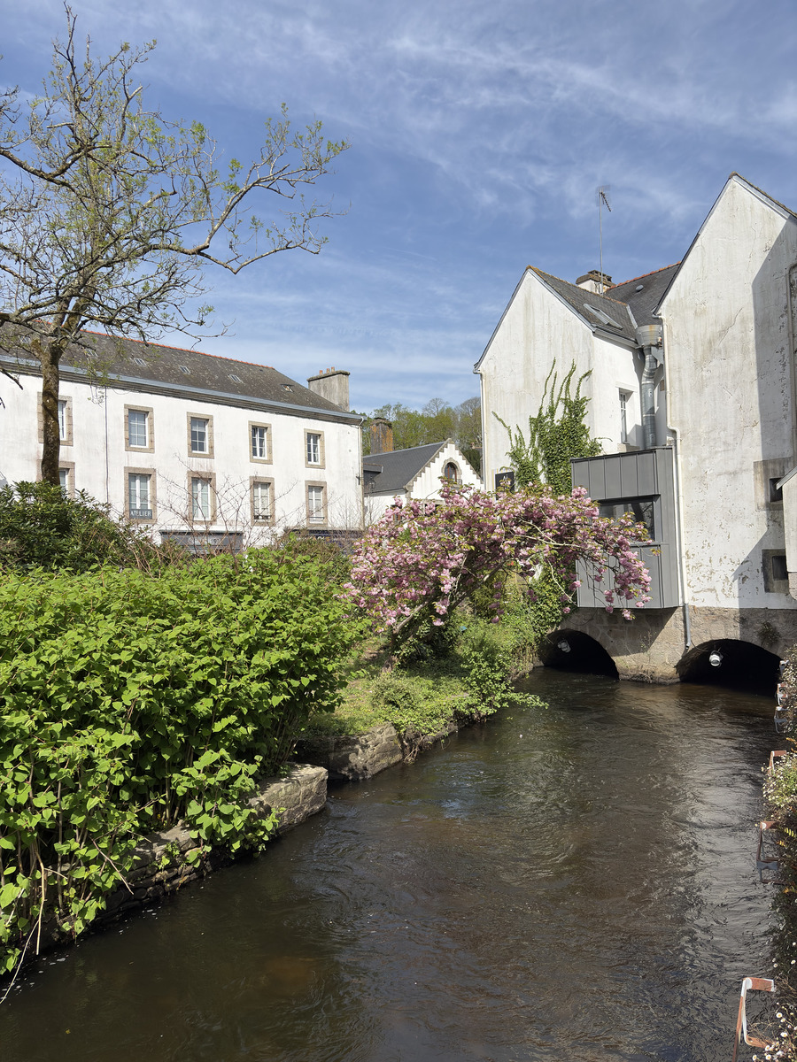 Picture France Pont Aven 2026-04 37 - SPA Pont Aven