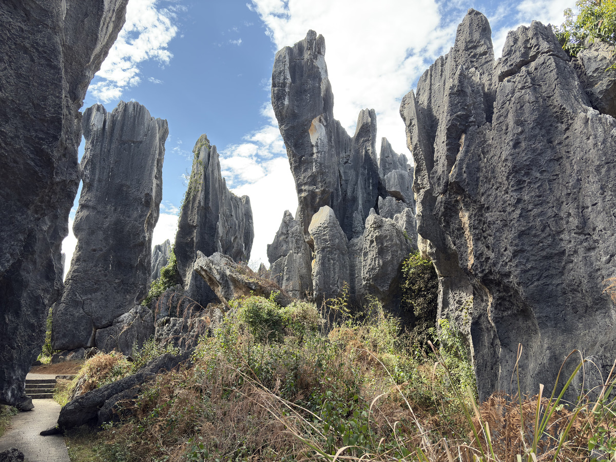 Picture China Shilin Stone Forest 2026-01 126 - Resorts Shilin Stone Forest