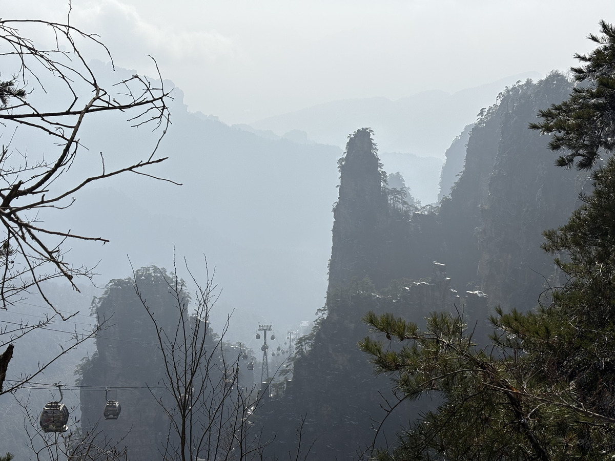 Picture China Zhangjiajie Tianzi Mountrain 2026-01 11 - Summer Tianzi Mountrain