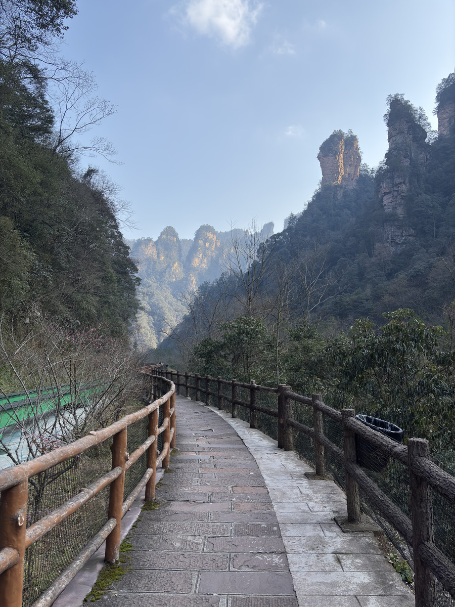 Picture China Zhangjiajie Tianzi Mountrain 2026-01 177 - Savings Tianzi Mountrain