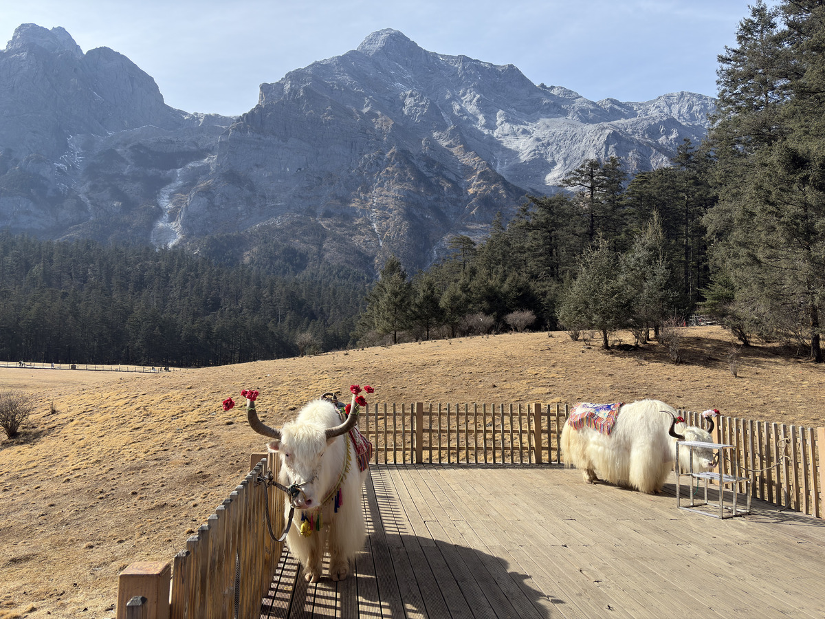 Picture China Lijiang Blue moon valley 2026-01 93 - Transport Blue moon valley