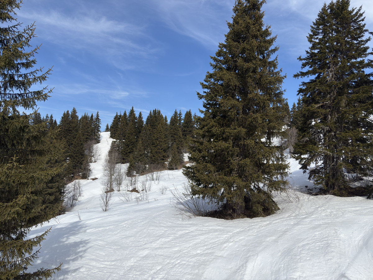 Picture France Praz sur Arly 2025-02 74 - Night Praz sur Arly