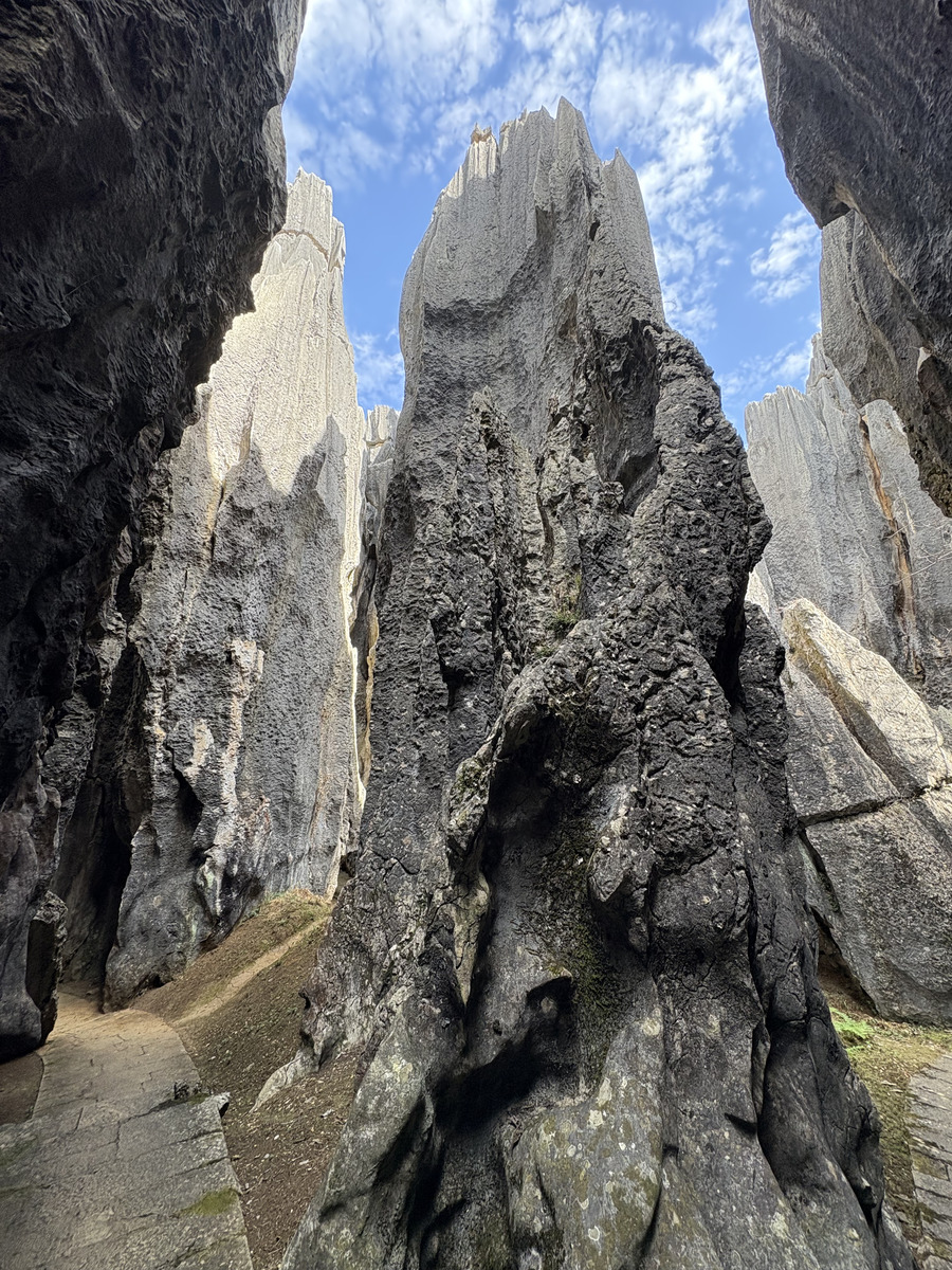 Picture China Shilin Stone Forest 2026-01 260 - Rain Season Shilin Stone Forest