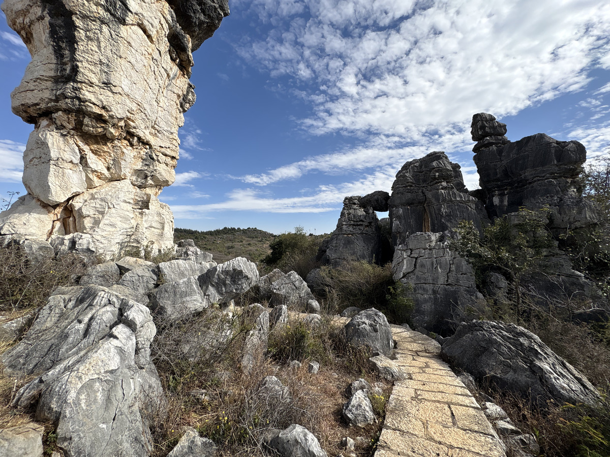 Picture China Shilin Stone Forest 2026-01 338 - Savings Shilin Stone Forest