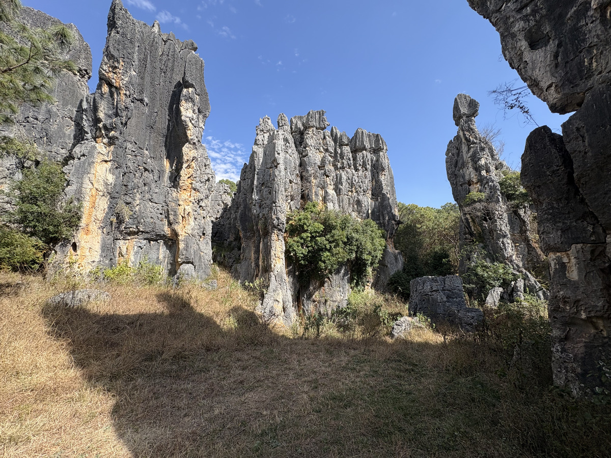 Picture China Shilin Stone Forest 2026-01 31 - Cost Shilin Stone Forest