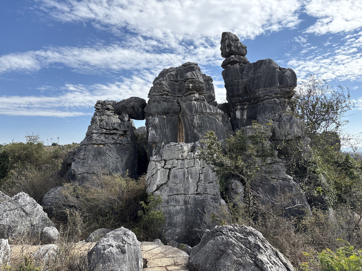 Picture China Shilin Stone Forest 2026-01 290 - Rain Season Shilin Stone Forest