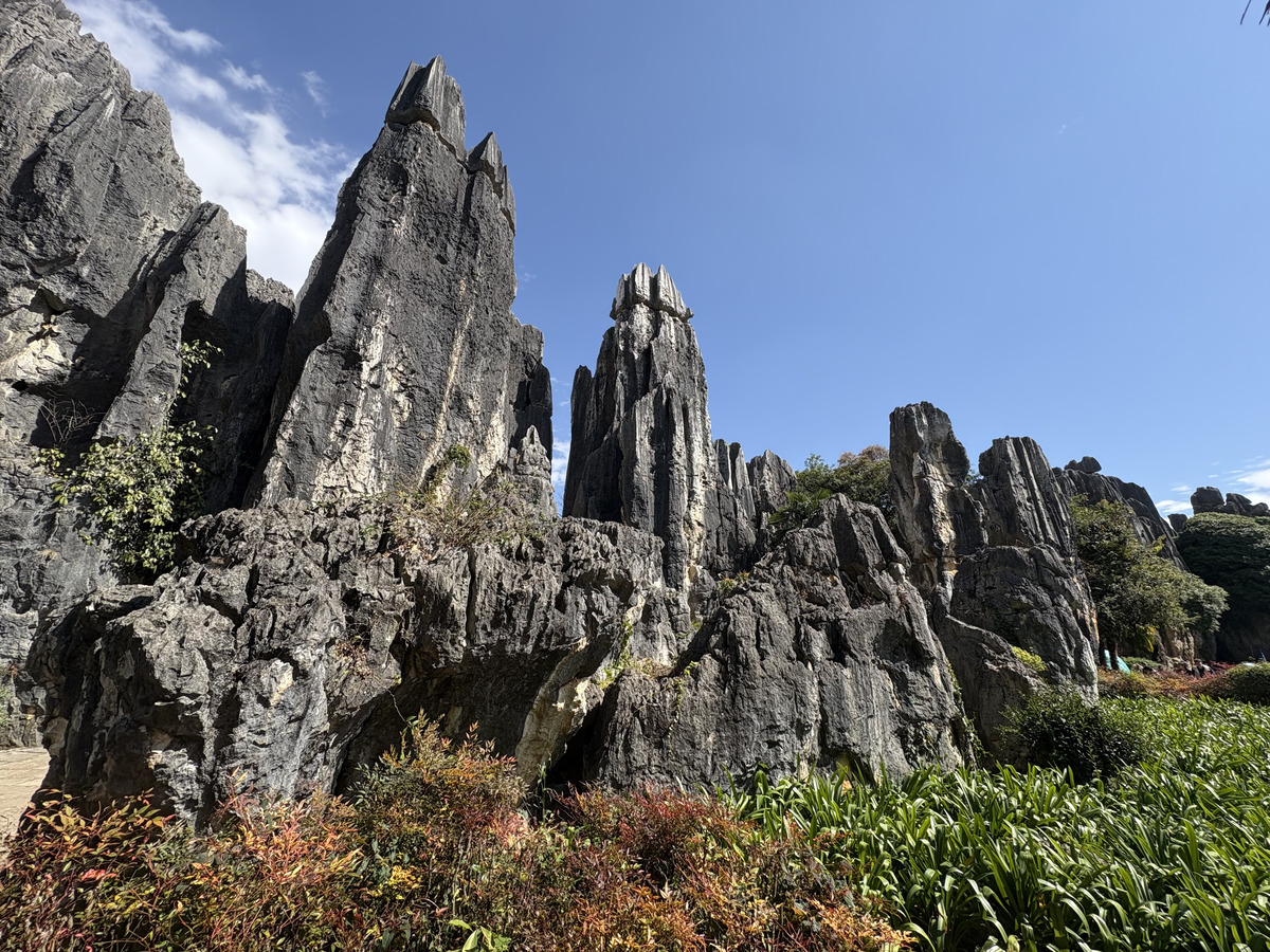 Picture China Shilin Stone Forest 2026-01 171 - Saving Shilin Stone Forest