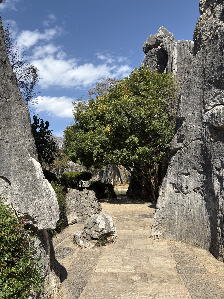 Picture China Shilin Stone Forest 2026-01 271 - Accomodation Shilin Stone Forest