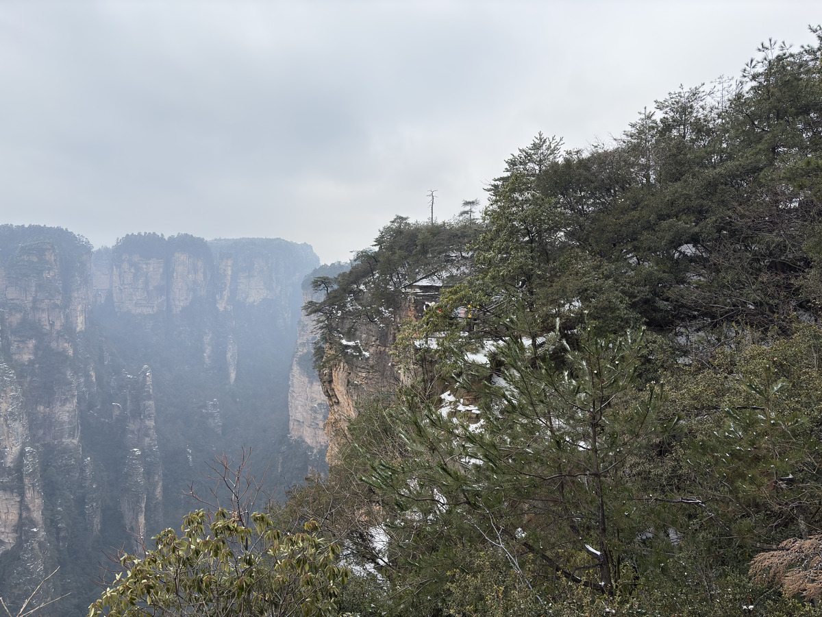 Picture China Zhangjiajie 2026-01 120 - City Sights Zhangjiajie
