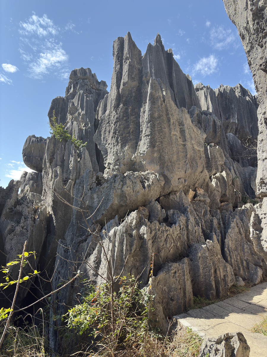 Picture China Shilin Stone Forest 2026-01 317 - Spring Shilin Stone Forest