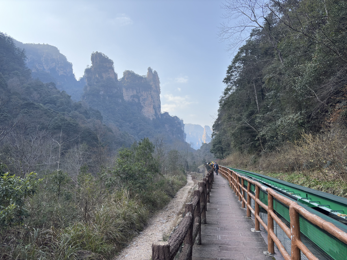 Picture China Zhangjiajie Tianzi Mountrain 2026-01 426 - Street Tianzi Mountrain