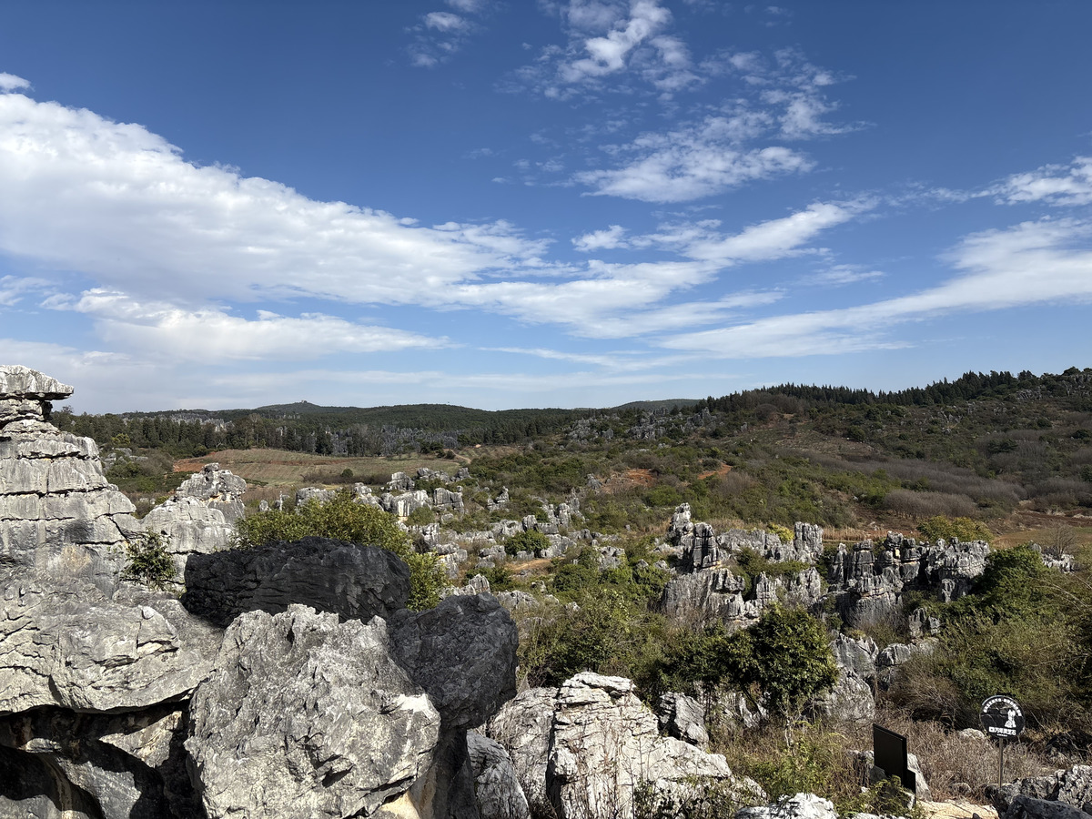 Picture China Shilin Stone Forest 2026-01 182 - To see Shilin Stone Forest