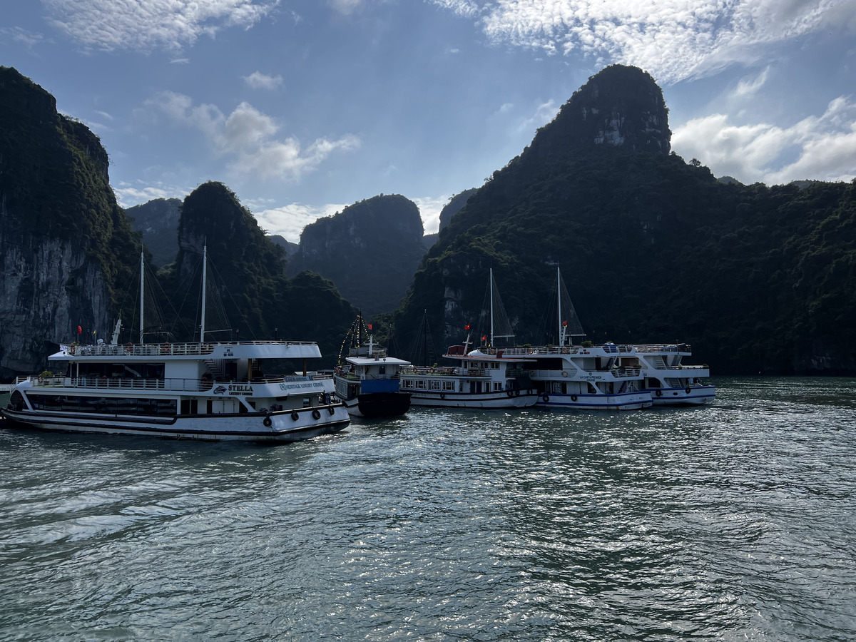 Picture Vietnam Ha Long Bay 2024-01 22 - Saving Ha Long Bay