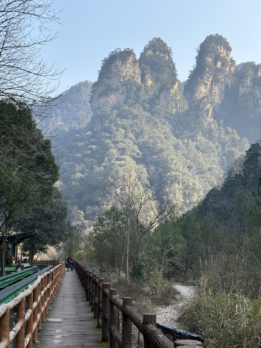 Picture China Zhangjiajie Tianzi Mountrain 2026-01 344 - To see Tianzi Mountrain