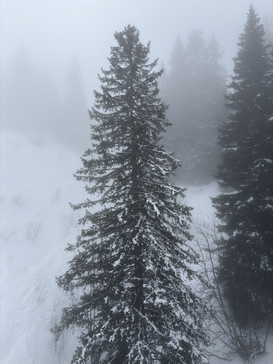 Picture France Praz sur Arly 2025-02 63 - Cheap Room Praz sur Arly