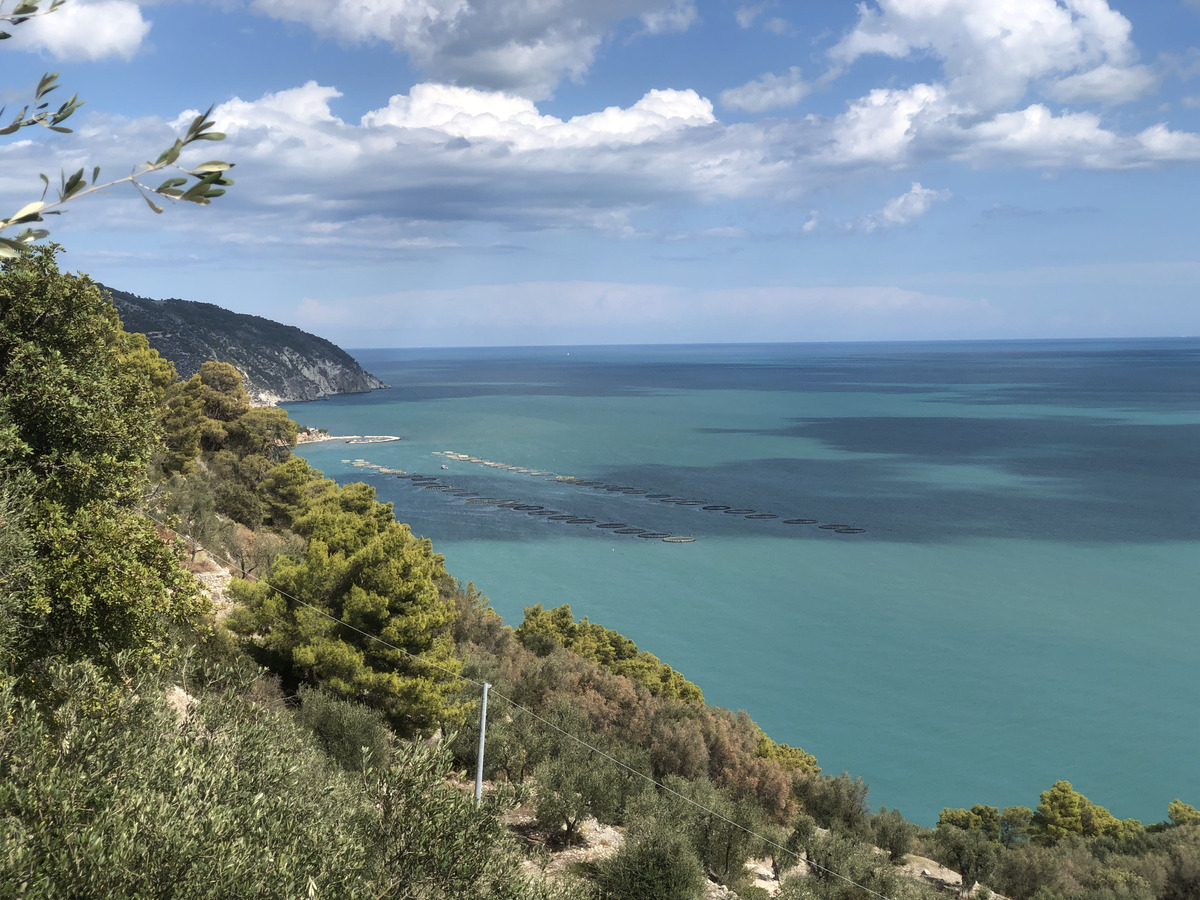 Picture Italy Gargano 2024-09 69 - City Sights Gargano