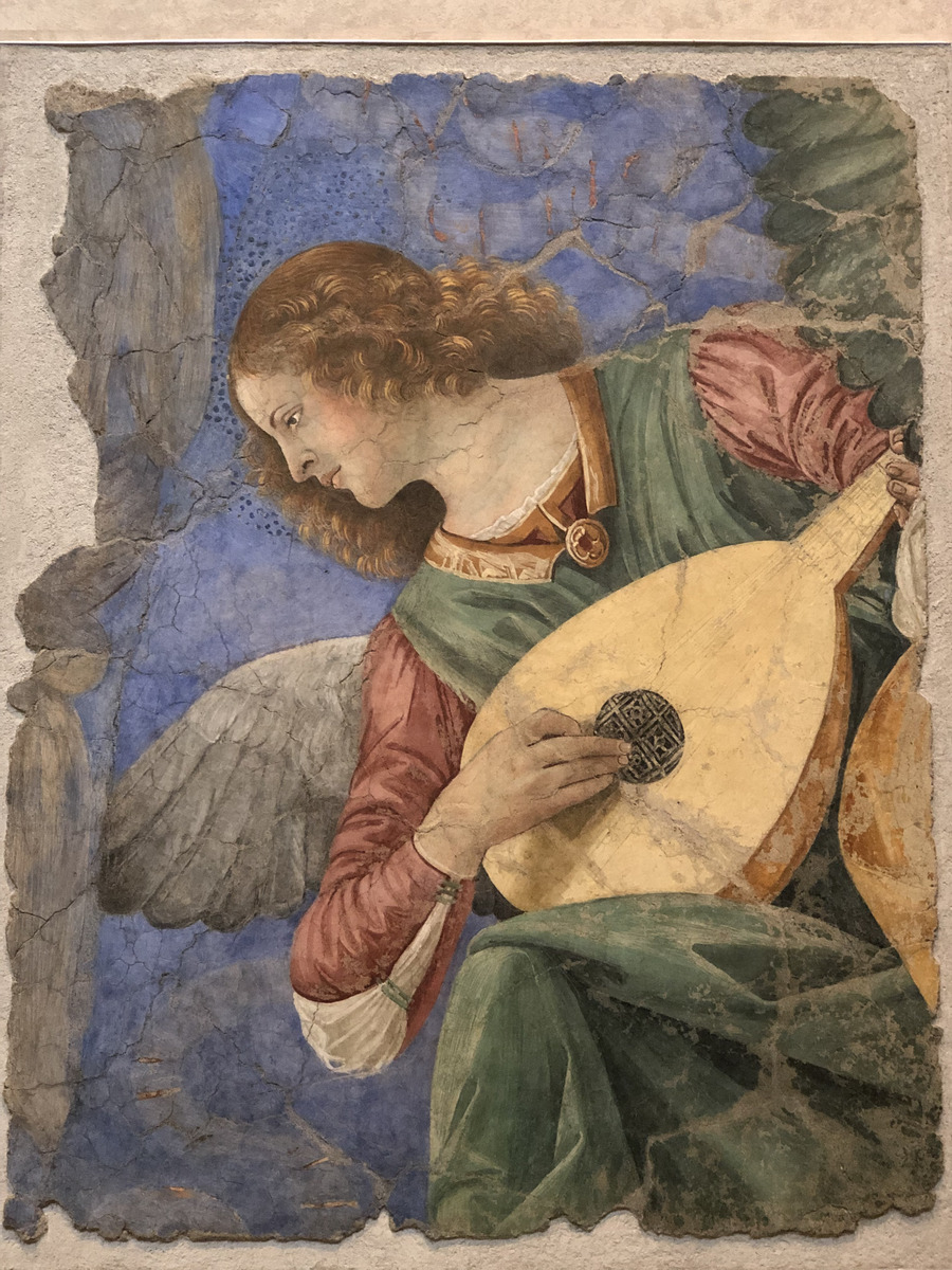 Picture Italy Rome Vatican Museum 2024-09 20 - Cost Vatican Museum