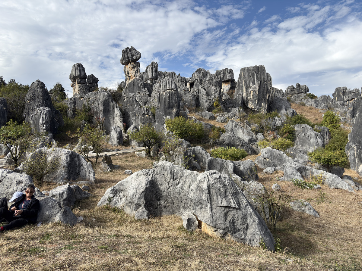 Picture China Shilin Stone Forest 2026-01 153 - Accomodation Shilin Stone Forest