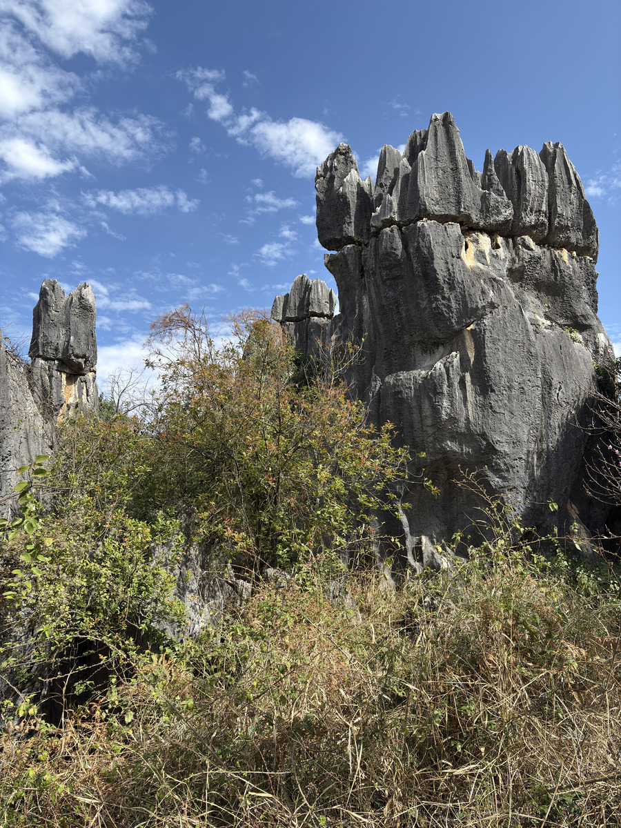 Picture China Shilin Stone Forest 2026-01 320 - Saving Shilin Stone Forest
