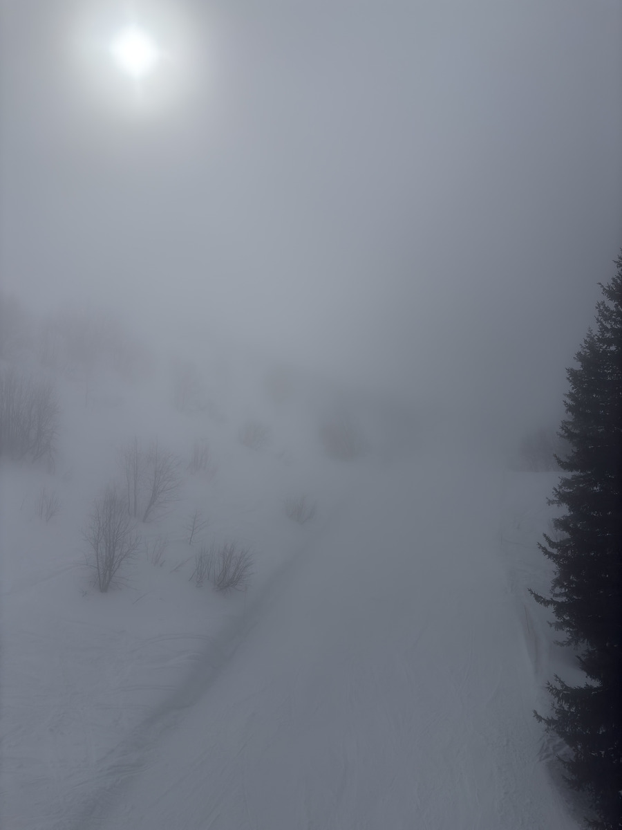Picture France Praz sur Arly 2025-02 27 - Spring Praz sur Arly