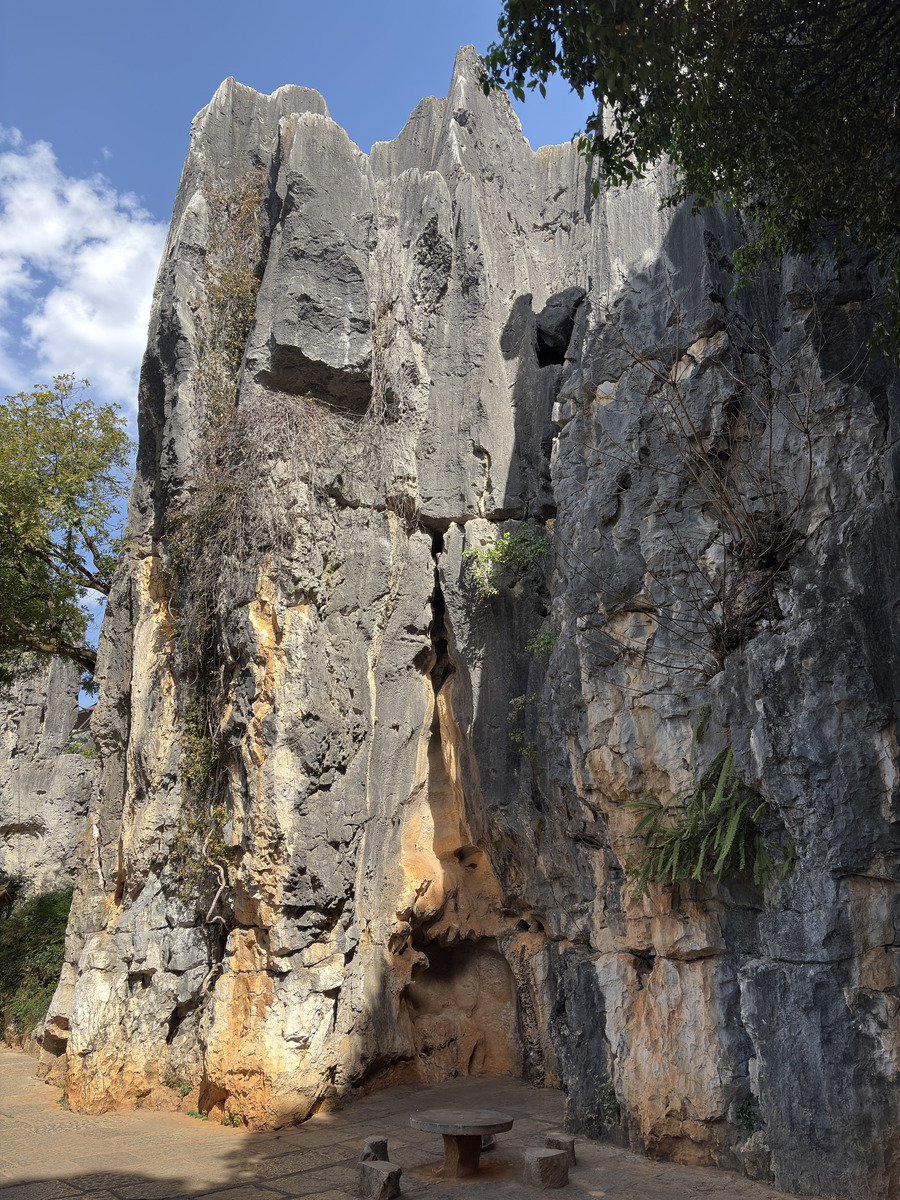 Picture China Shilin Stone Forest 2026-01 327 - Rental Shilin Stone Forest