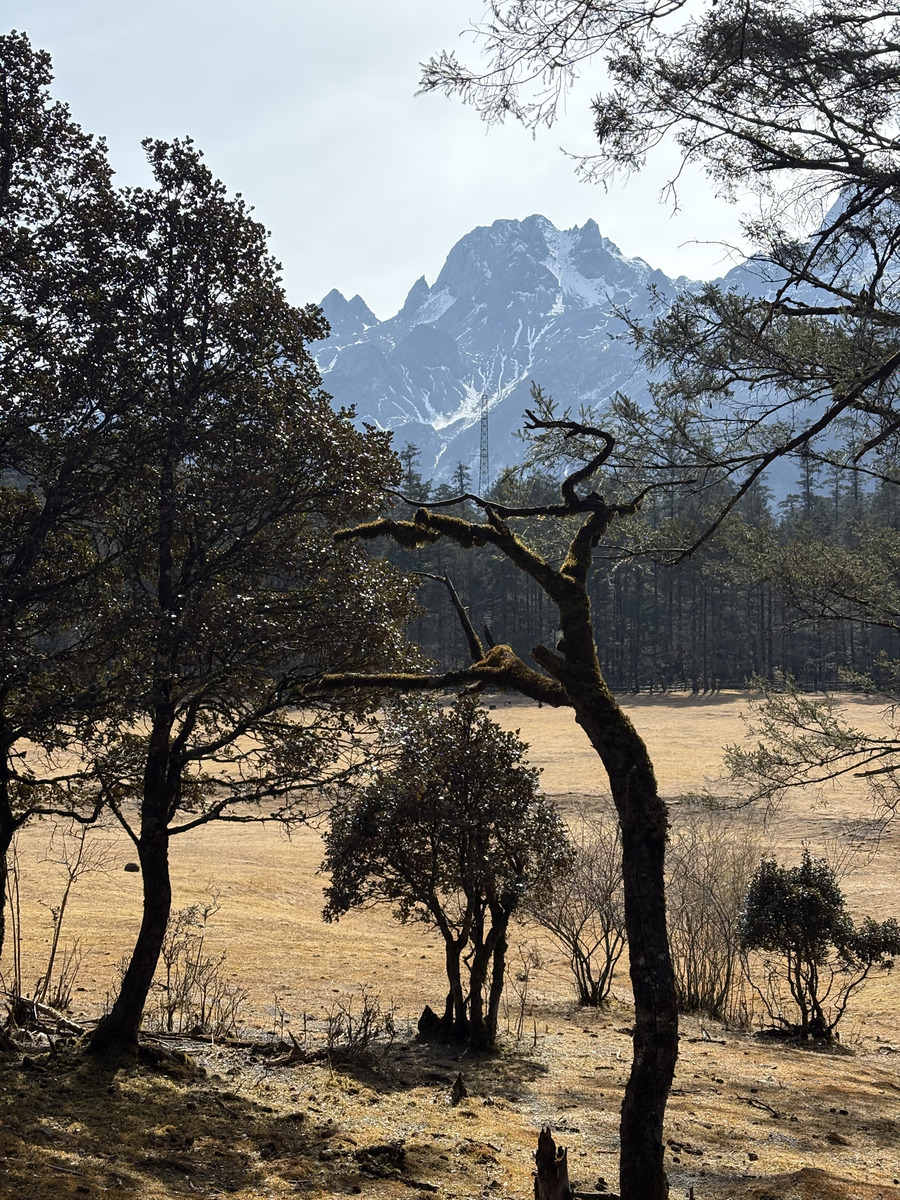 Picture China Lijiang Blue moon valley 2026-01 135 - Winter Blue moon valley
