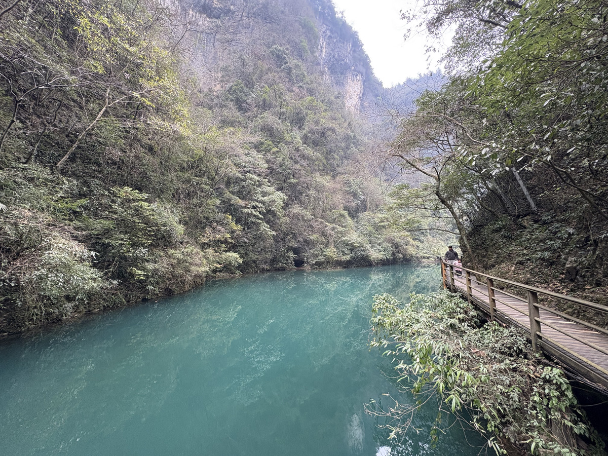 Picture China Zhangjiajie Grand Canion 2026-01 30 - Saving Grand Canion