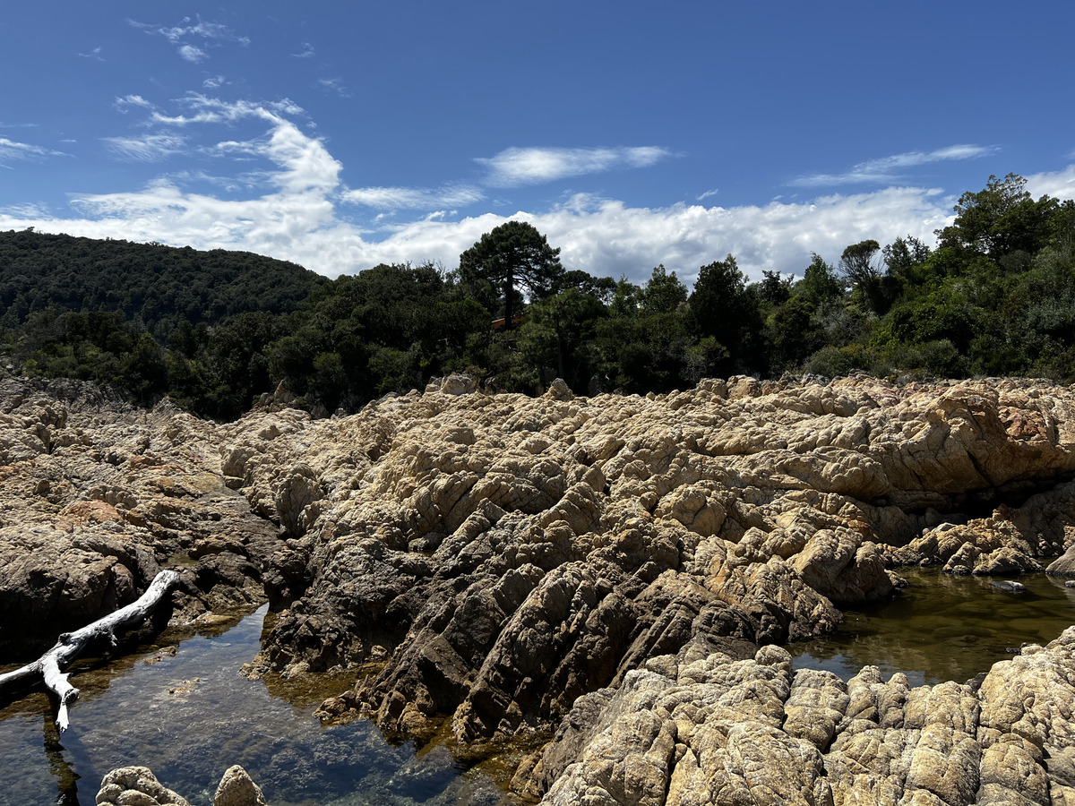Picture France Corsica Canella Beach 2024-05 9 - Saving Canella Beach