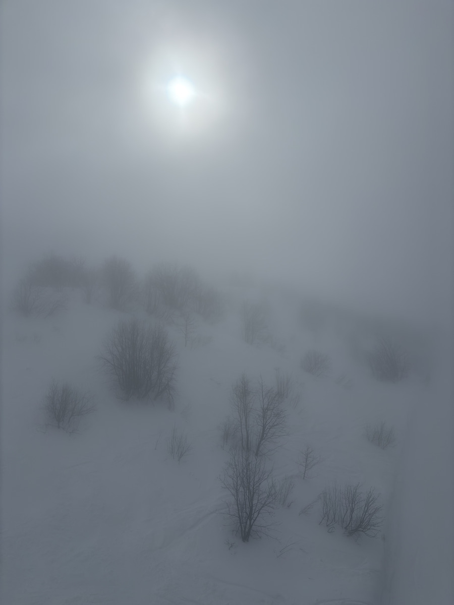 Picture France Praz sur Arly 2025-02 42 - Price Praz sur Arly