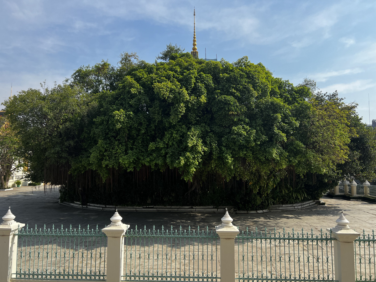 Picture Cambodia Phnom Penh Royal Palace 2024-01 66 - Lake Royal Palace