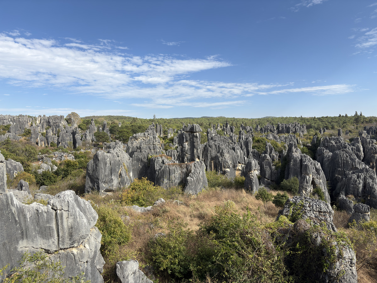 Picture China Shilin Stone Forest 2026-01 77 - Saving Shilin Stone Forest
