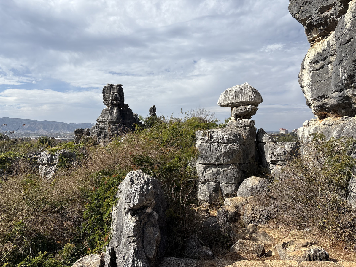 Picture China Shilin Stone Forest 2026-01 236 - Rentals Shilin Stone Forest
