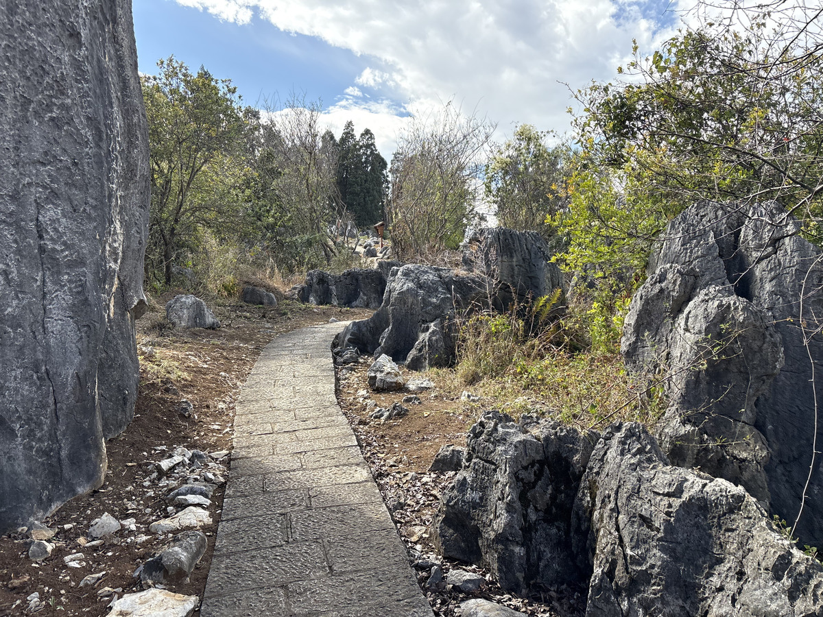 Picture China Shilin Stone Forest 2026-01 33 - Rentals Shilin Stone Forest