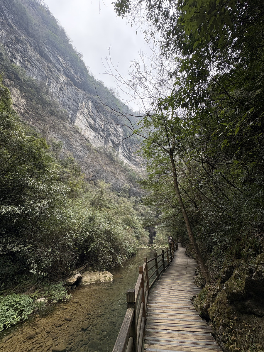 Picture China Zhangjiajie Grand Canion 2026-01 5 - Rentals Grand Canion