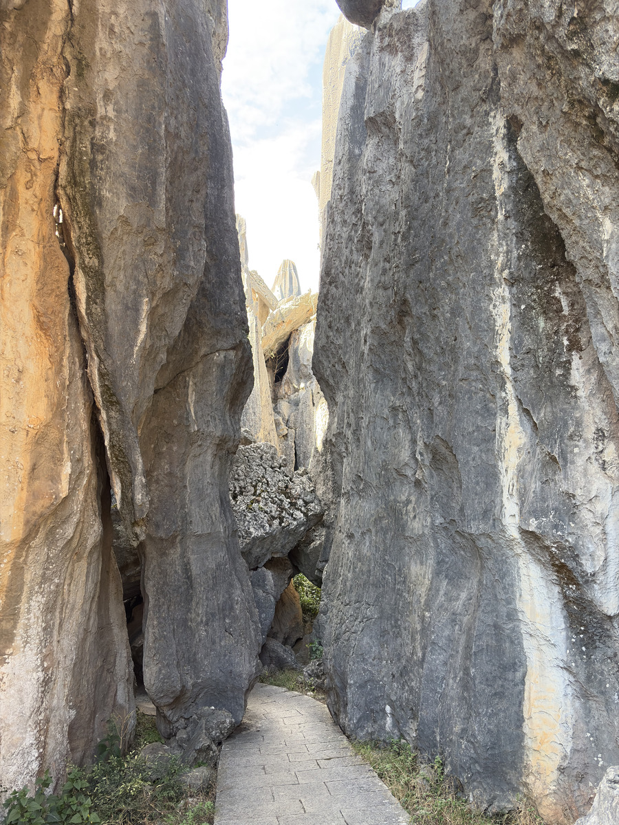 Picture China Shilin Stone Forest 2026-01 98 - Hotel Shilin Stone Forest
