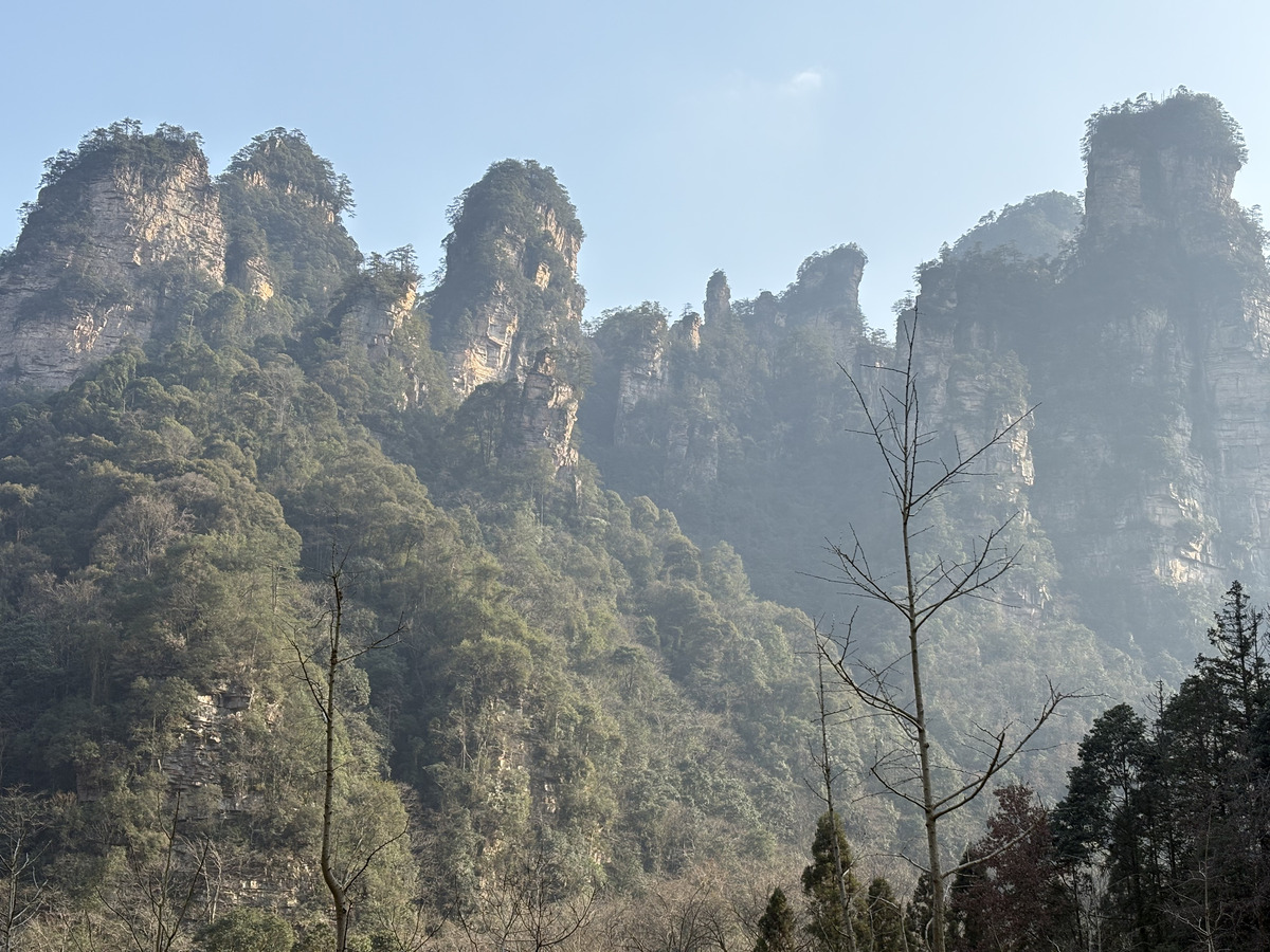 Picture China Zhangjiajie Tianzi Mountrain 2026-01 399 - Price Tianzi Mountrain