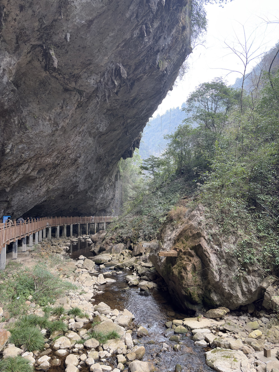 Picture China Zhangjiajie Grand Canion 2026-01 14 - City Grand Canion